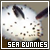 Nudibranchs: Sea Bunnies